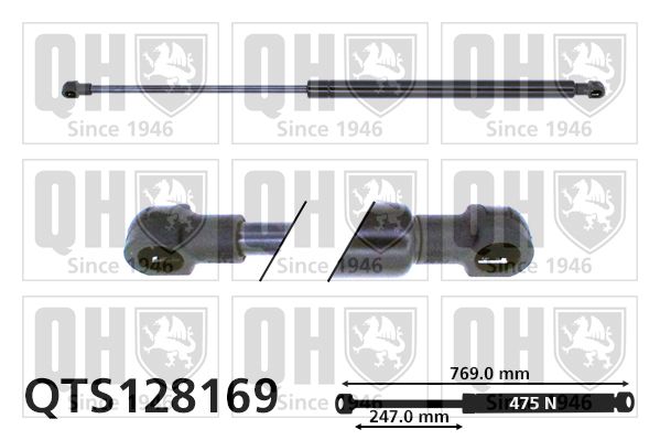 QUINTON HAZELL Gaasivedru, pagasi-/veoruum QTS128169